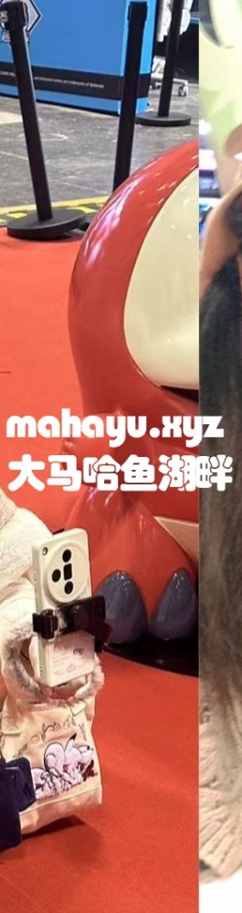 新叶喵你在看什么？抽到一树就稳了！又好吃又好玩的地方！重庆宝可梦超级赛【泡芙日常】