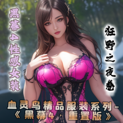 黑幕4性感女装·狂野之夜卷