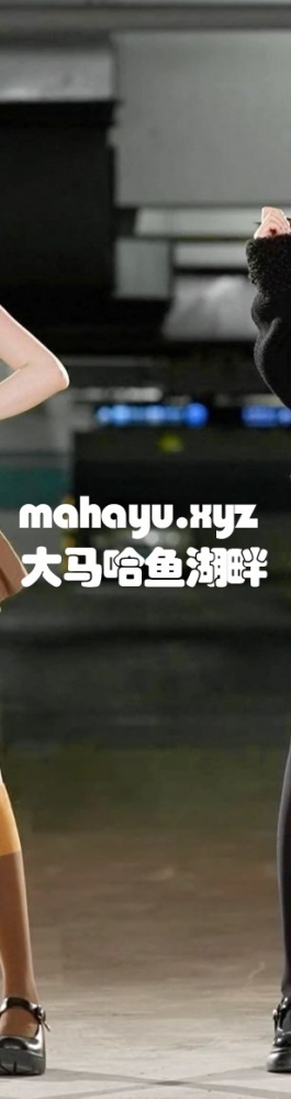 ⚡️ 猫 咪 摇 摆 舞⚡️