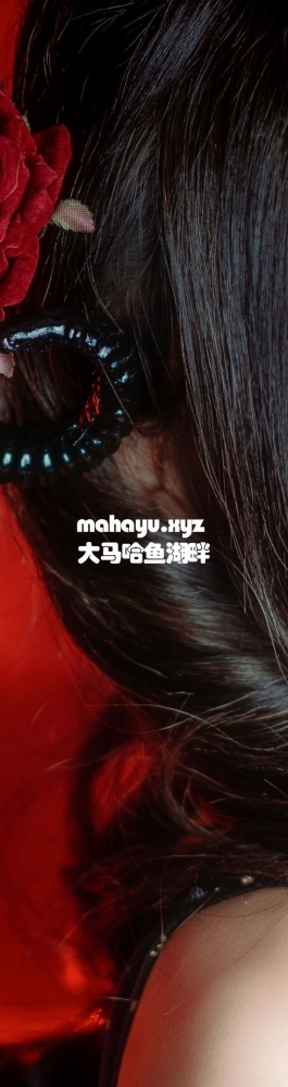 【桃核】敢来我的派对么～？小恶魔警告！！ゴーカ! ごーかい!? ファントムシーフ!